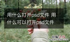 用什么打开psd文件 用什么可以打开psd文件