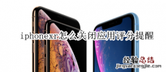 iphonexr怎么关闭应用评分提醒