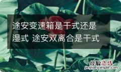 途安变速箱是干式还是湿式 途安双离合是干式还是湿式