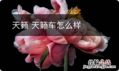 天籁 天籁车怎么样