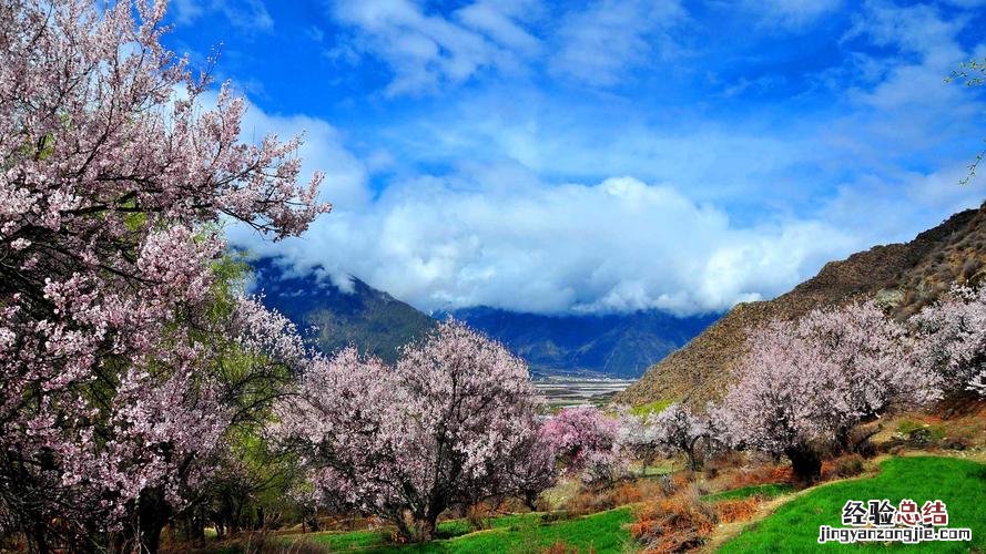 林芝有哪些旅游景点