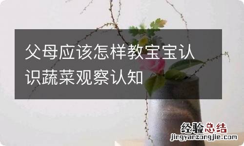 父母应该怎样教宝宝认识蔬菜观察认知