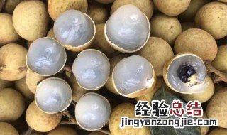 种桂圆小妙招 种桂圆小妙招图片
