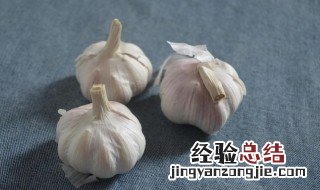 去蒜皮的妙招 去蒜皮的妙招图片
