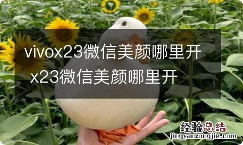 vivox23微信美颜哪里开 x23微信美颜哪里开