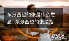 东张西望的张是什么意思东张西望的张是指什么意思