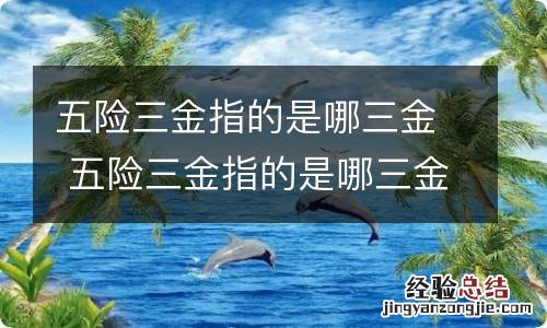 五险三金指的是哪三金 五险三金指的是哪三金共有几金