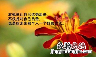 朋友圈正能量语录短句 适合发朋友圈的句子