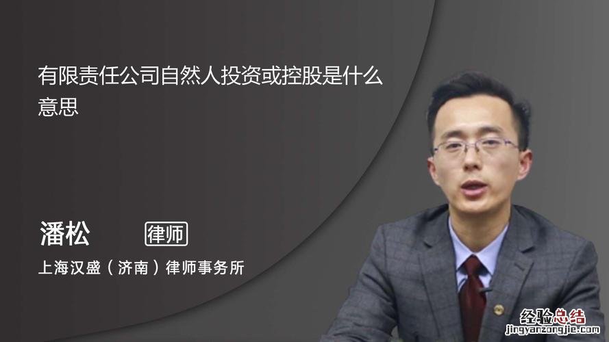 自然人投资或控股是什么性质