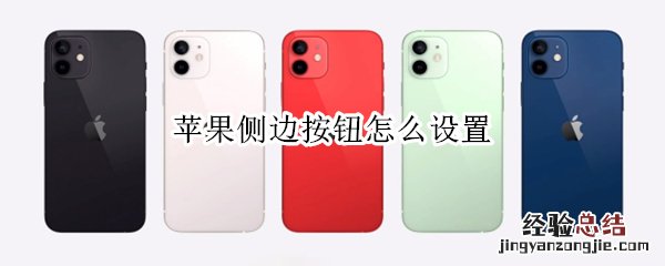 苹果侧边按钮怎么设置
