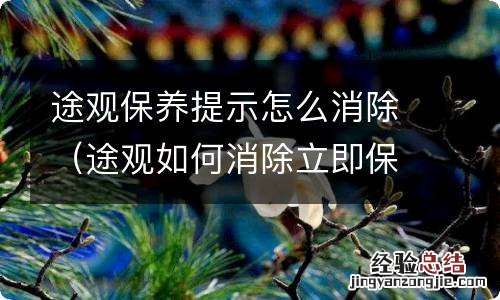 途观如何消除立即保养提示 途观保养提示怎么消除