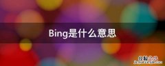 Bing是什么意思