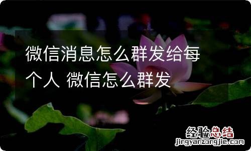 微信消息怎么群发给每个人 微信怎么群发