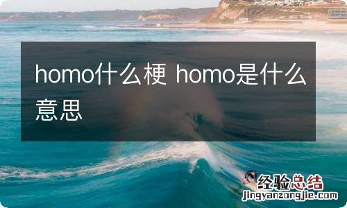 homo什么梗 homo是什么意思