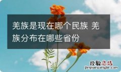 羌族是现在哪个民族 羌族分布在哪些省份