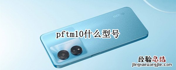 pftm10什么型号