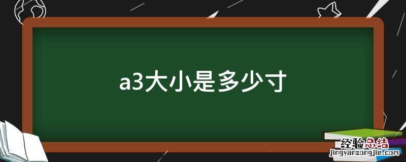 a3大小是多少寸