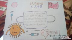 什么让我懂得了什么作文