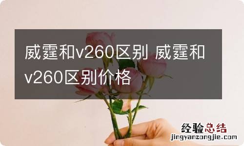 威霆和v260区别 威霆和v260区别价格