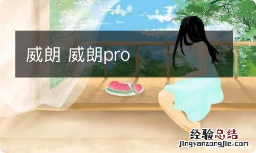 威朗 威朗pro