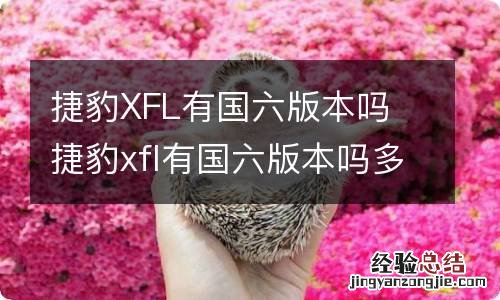 捷豹XFL有国六版本吗 捷豹xfl有国六版本吗多少钱
