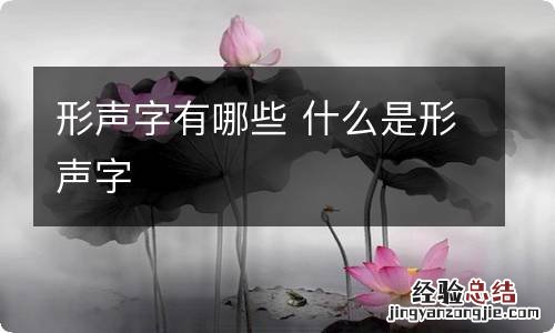 形声字有哪些 什么是形声字