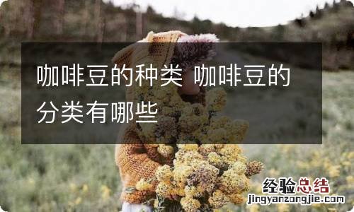 咖啡豆的种类 咖啡豆的分类有哪些