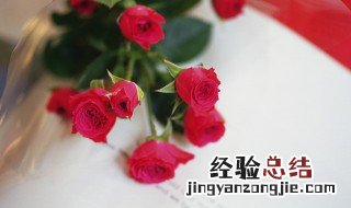 送老公送什么颜色的玫瑰 送老婆送什么颜色玫瑰