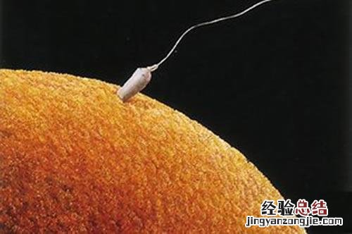 受精卵着床过程中有什么症状 受精卵着床过程