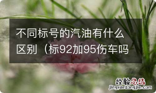 标92加95伤车吗 不同标号的汽油有什么区别