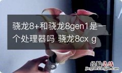 骁龙8+和骁龙8gen1是一个处理器吗 骁龙8cx gen2