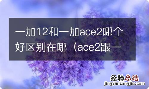 ace2跟一加8t 一加12和一加ace2哪个好区别在哪