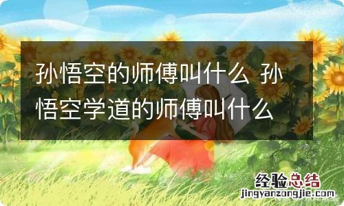 孙悟空的师傅叫什么 孙悟空学道的师傅叫什么名字