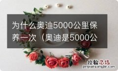 奥迪是5000公里还是10000公里保养 为什么奥迪5000公里保养一次