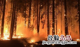 预防山火标题 预防山火的宣传语