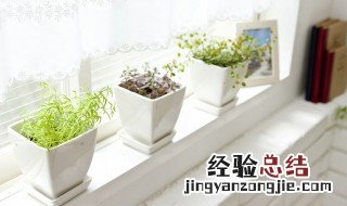 小学生教师节送什么礼物 小学生教师节送什么礼物比较好