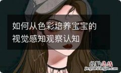 如何从色彩培养宝宝的视觉感知观察认知