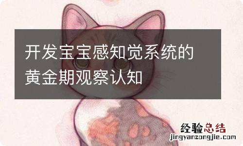 开发宝宝感知觉系统的黄金期观察认知