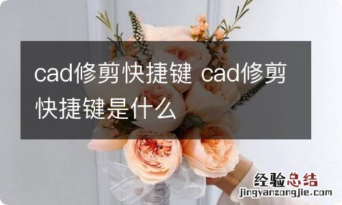 cad修剪快捷键 cad修剪快捷键是什么