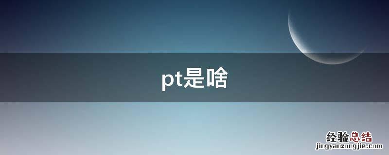 pt是啥