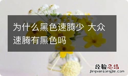 为什么黑色速腾少 大众速腾有黑色吗
