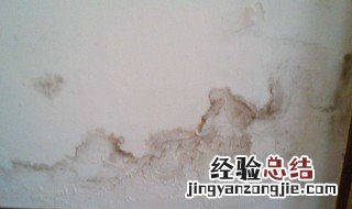 家里发霉潮湿怎么处理 霉菌最怕三种东西