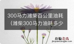 潍柴300马力油耗多少 300马力潍柴百公里油耗