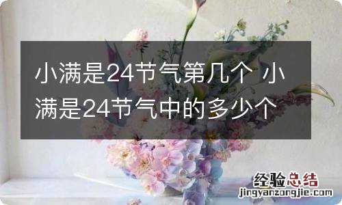 小满是24节气第几个 小满是24节气中的多少个