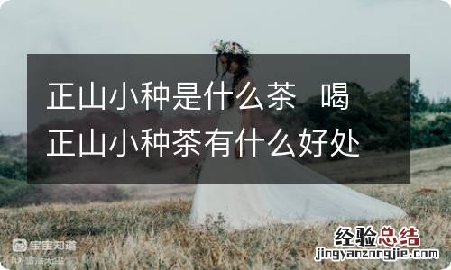 正山小种是什么茶喝正山小种茶有什么好处