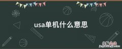 usa单机什么意思