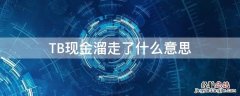 TB现金溜走了什么意思