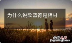 为什么说欧蓝德是棺材