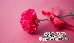 母亲过生日送什么花比较好 母亲过生日送什么花比较好?