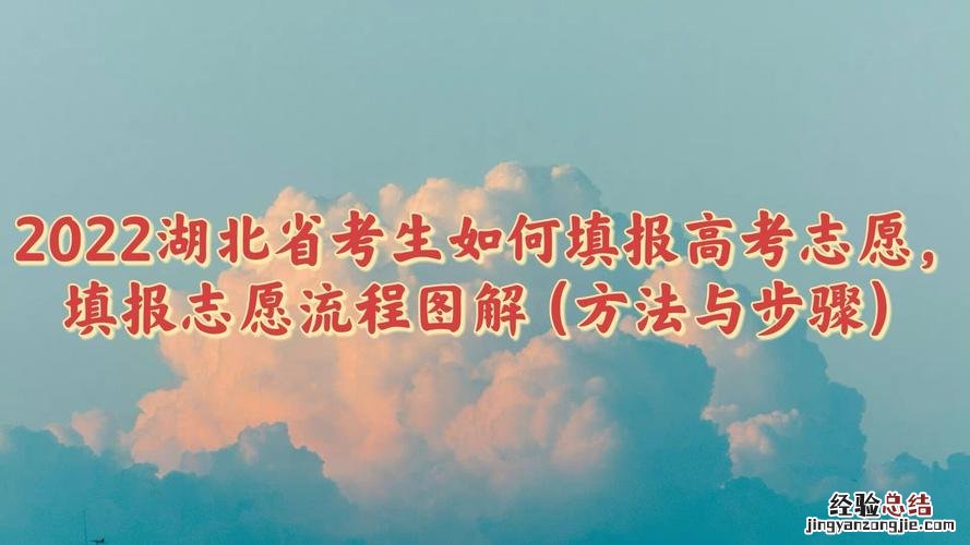 高考报考专业怎么填